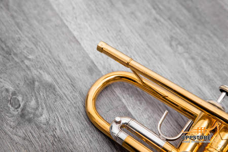 BACH STRADIVARIUS Trompete - 37 - Silber - Gold