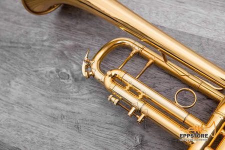 BACH STRADIVARIUS Trompete - 37 - vergoldet